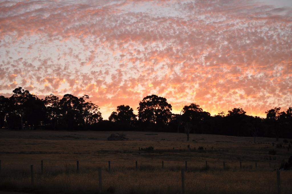 Tallawarra Homestead Tonimbuc Exterior foto